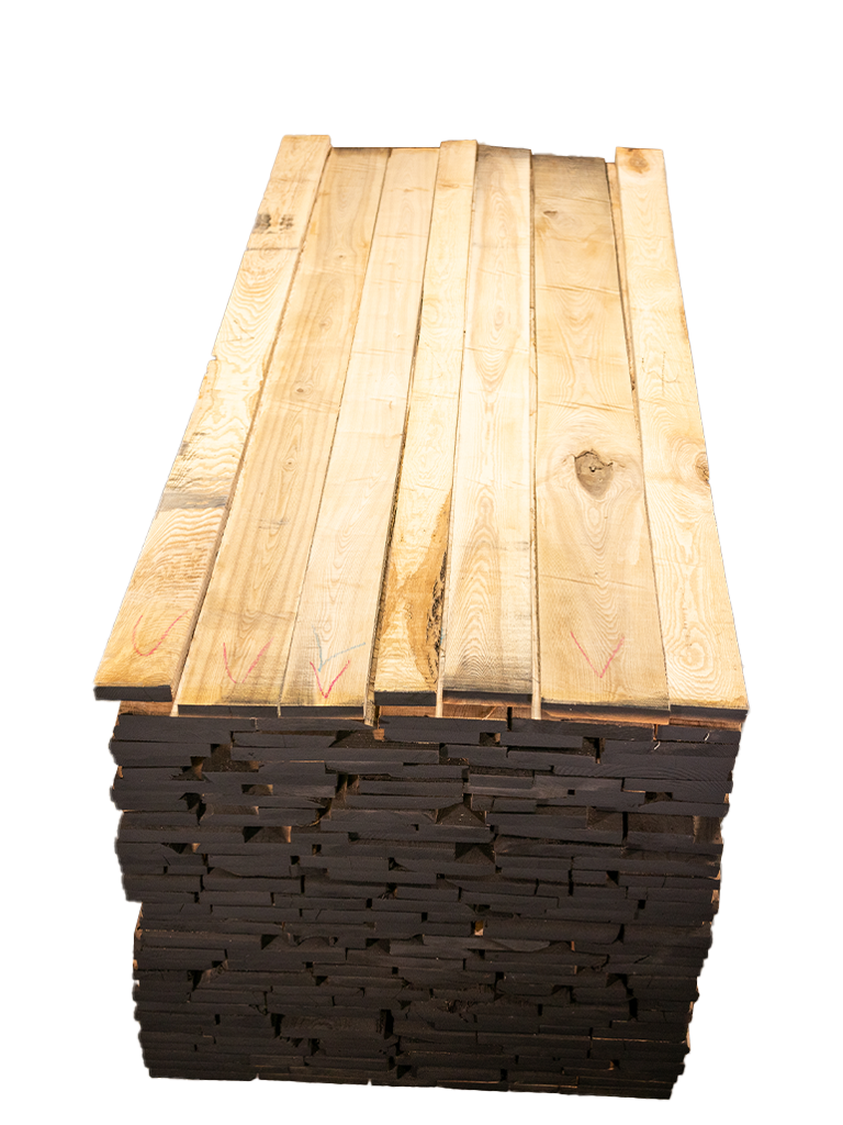 ☘️スペシャルイベント☘️3190【Ashwood】【ASHWOODIENSIS】 Ash